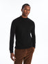 LC Waikiki Turtleneck Long Sleeve Men's Tricot Sweater